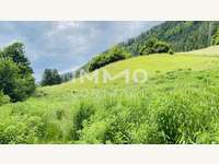 Grundstücke mit Altbestand