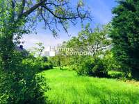 Baugrund Breitenbrunn am Neusiedler See - Bild 01