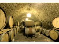 250 Jahre alter Weinkeller mit dem besten Wein