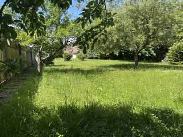 Haus Moschendorf - Bild 20