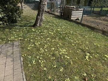 Haus Köflach - Bild 02