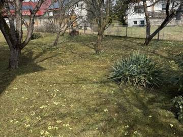 Haus Köflach - Bild 03