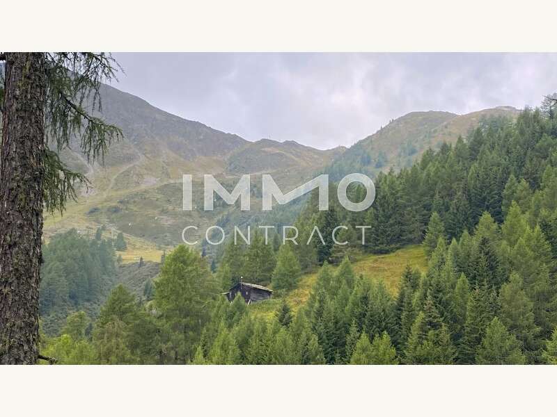 Waldparzellen Kals - Landwirtschaft Kals am Großglockner - Bild 1