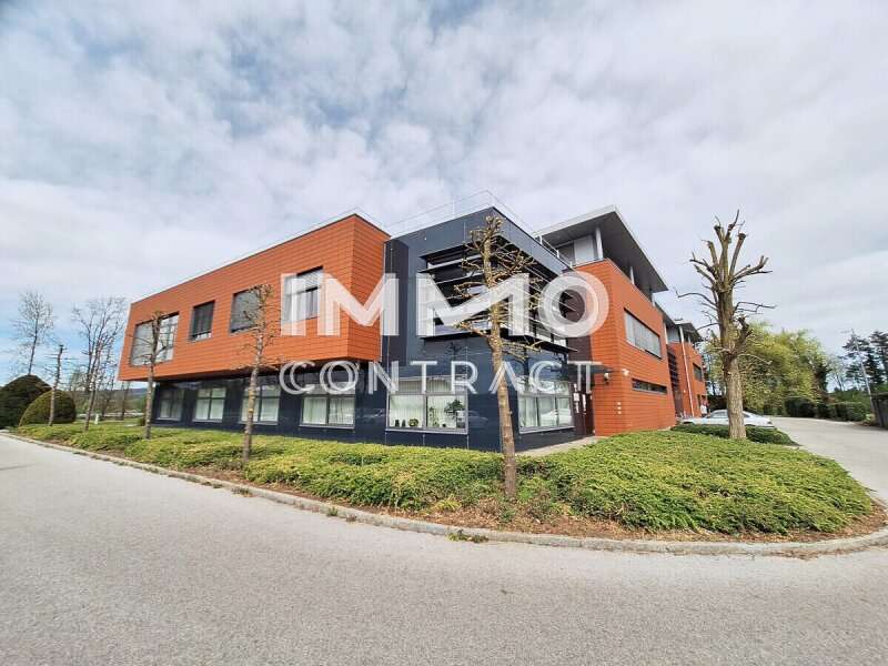 20250416 151346 - Halle Braunau Umgebung - Bild 1