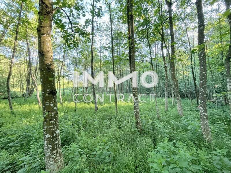 101 - Landwirtschaftsgrund Ardagger Stift - Bild 1