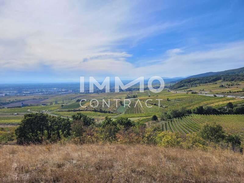 IMG-20250109-WA0000 - Baugrund Gumpoldskirchen - Bild 1