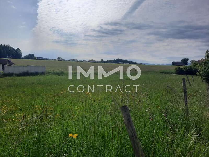 20250515 090241 - Baugrund Bad Hall - Bild 1