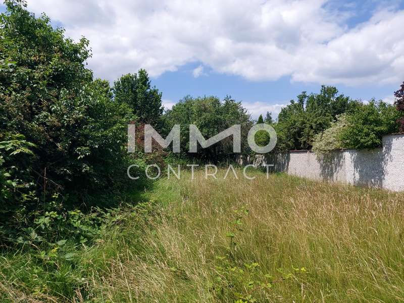 20240624 132139 - Grundstück St. Leonhard am Forst - Bild 1