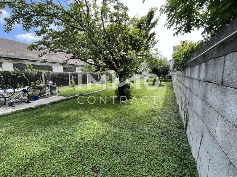 Garten - Einfamilienhaus Wien - Bild 1