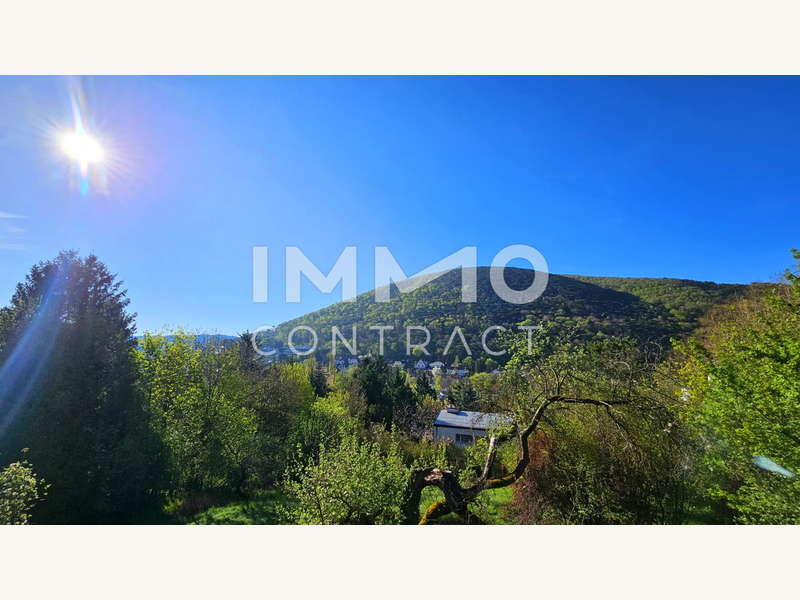 Ausblick 1 - Einfamilienhaus Hinterbrühl - Bild 1