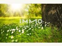 7464 Markt Neuhodis - Grundstück