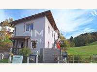3261 Steinakirchen am Forst - Einfamilienhaus