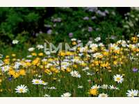 4030 Linz - Eigentumswohnung