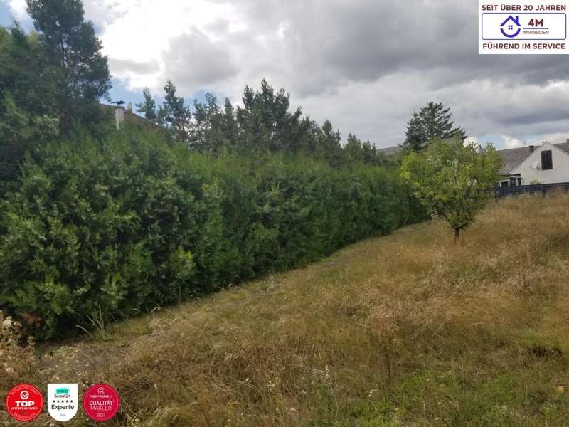 seyring baugrund 1 - Baugrund Gerasdorf - Bild 1