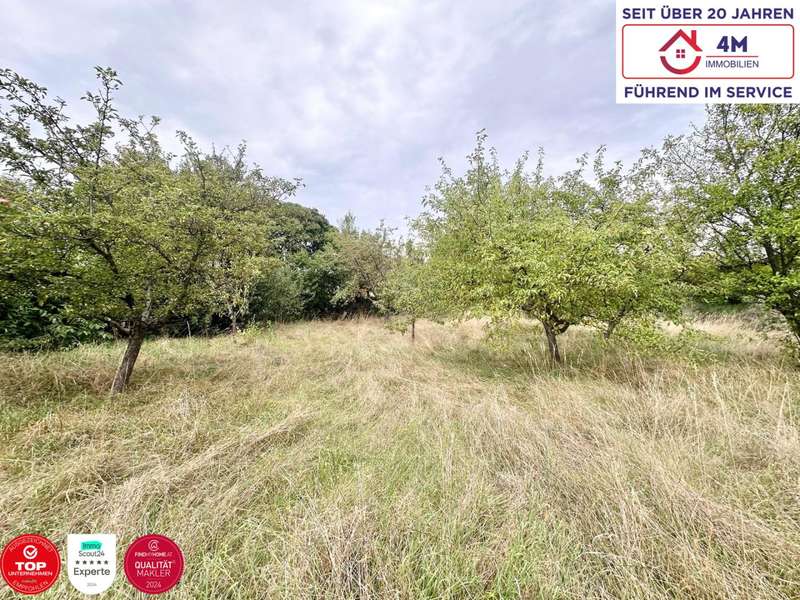 Grundstück - Baugrund Bad Fischau - Bild 1