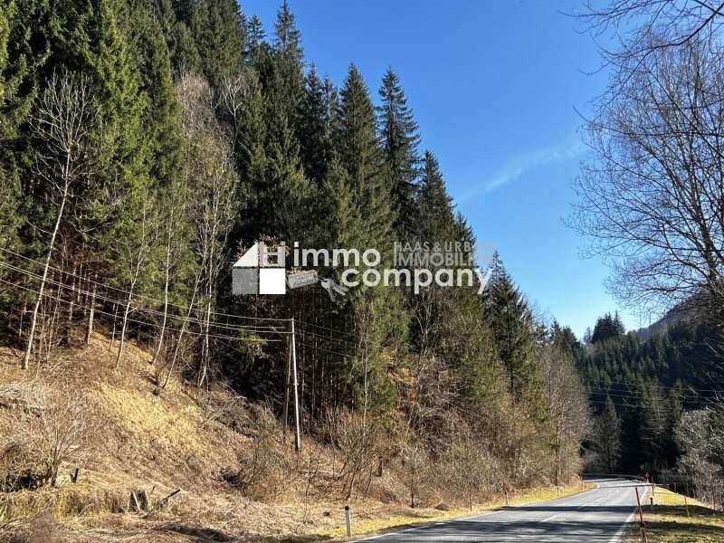 Forstwirtschaft Hüttenberg - Bild 1