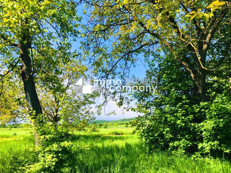 Baugrund Breitenbrunn am Neusiedler See - Bild 1