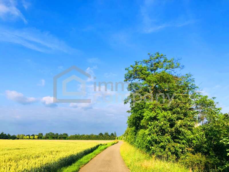 Landwirtschaftsgrund Zurndorf - Bild 1