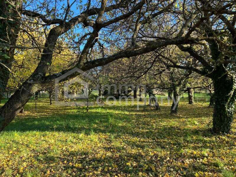 Grundstück Hornstein - Bild 1