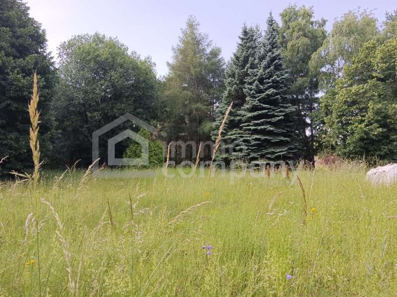 Baugrund Hollenthon - Bild 1