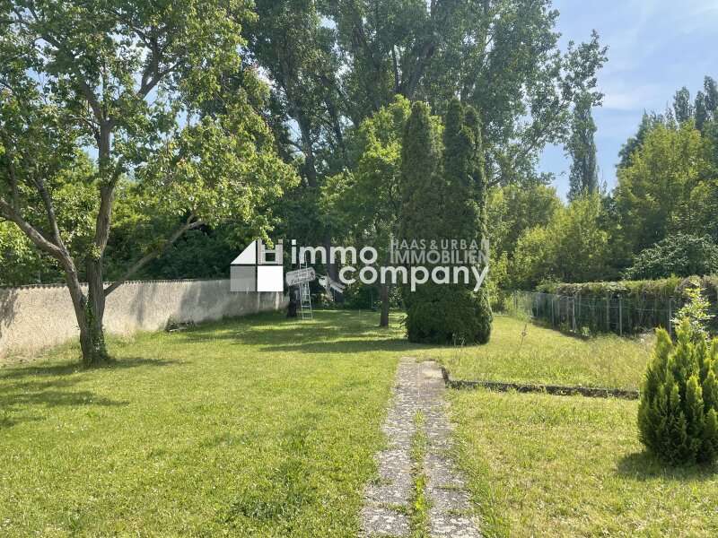 Garten - Einfamilienhaus Marchegg - Bild 1
