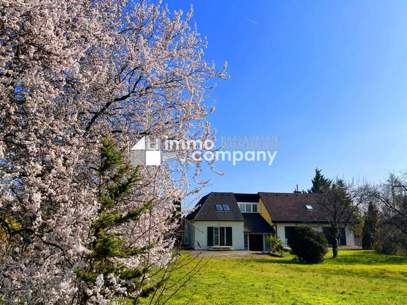 Einfamilienhaus Breitenbrunn am Neusiedler See - Bild 1