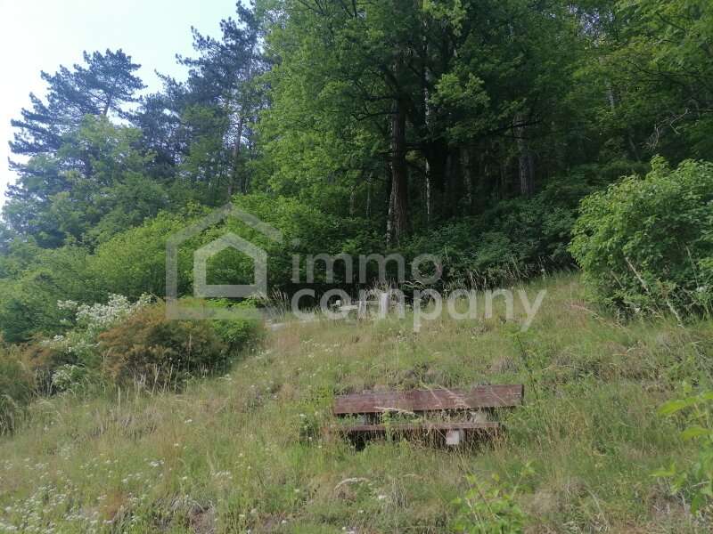 Landhaus Gutenstein - Bild 1