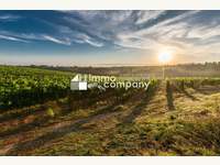1100 Wien Favoriten - Landwirtschaft