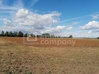 7111 Parndorf - Ackerbau