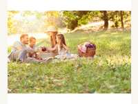 8072 Dillach - Grundstück