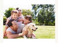 8072 Dillach - Grundstück