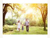 8072 Dillach - Grundstück