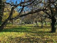 7053 Hornstein - Grundstück