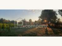 7142 Illmitz - Landwirtschaftsgrund