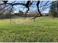 2722 Winzendorf - Baugrundstück