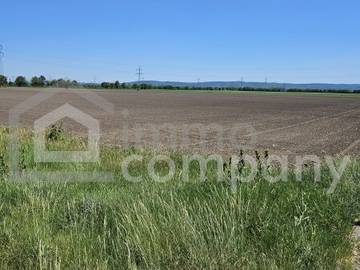 2433 Margarethen am Moos - Landwirtschaftsgrund