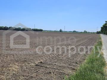 2433 Margarethen am Moos - Landwirtschaftsgrund