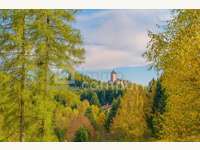 3911 Rappottenstein - Einfamilienhaus