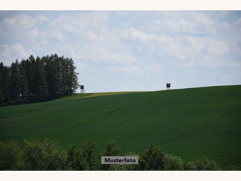 Landwirtschaftsgrund Obernalb - Bild 1