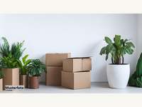 6166 Fulpmes - Mehrfamilienhaus