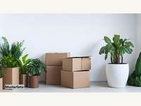 5721 Piesendorf - Mehrfamilienhaus