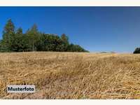 2722 Muthmannsdorf  angrenzend an Dreistetten - Halle