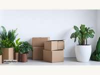 6370 Kitzbühel - Wohnanlage