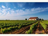 7122 Gols - Industrieanlage