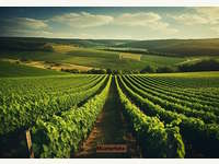 7122 Gols - Industrieanlage