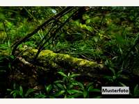 7562 Zahling - Landwirtschaftsgrund