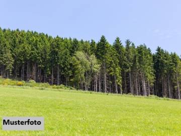 8600 Bruck an der Mur - Landwirtschaftsgrund