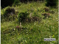 8621 Thörl - Landwirtschaftsgrund