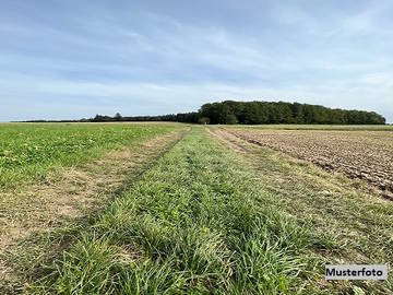 8242 Auerbach - Landwirtschaftsgrund