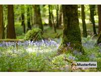 9473 Lavamünd - Landwirtschaftsgrund